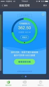 蚂蚁花呗额度图片,额度背后的消费秘密
